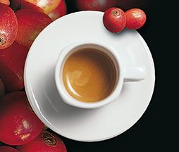 Segafredo Zanetti:  Jak vzniká  kávové impérium