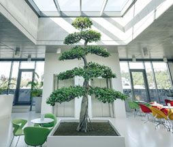 Individuální a lidský přístup v Pražském Proton Therapy Center