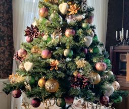 Příběh vánočního stromečku na zámku Loučeň „Abeceda Vánoc“